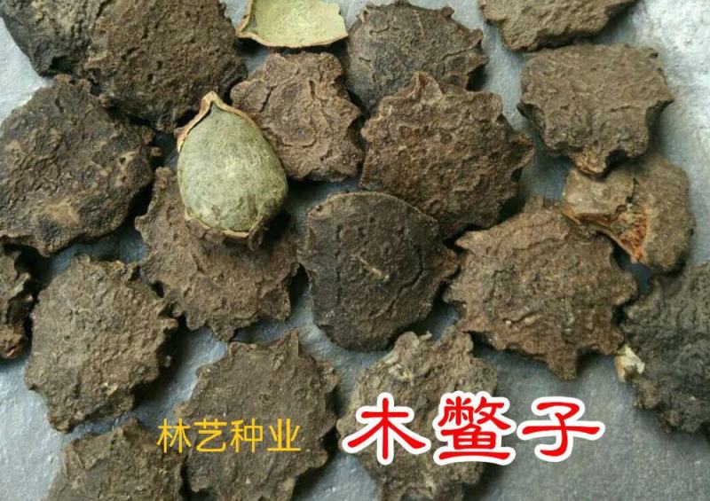 新采木鳖种子木鳖果狗屎瓜臭屎瓜木鳖子木别子