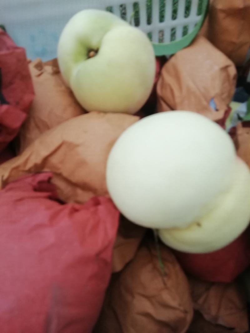 早生水蜜桃