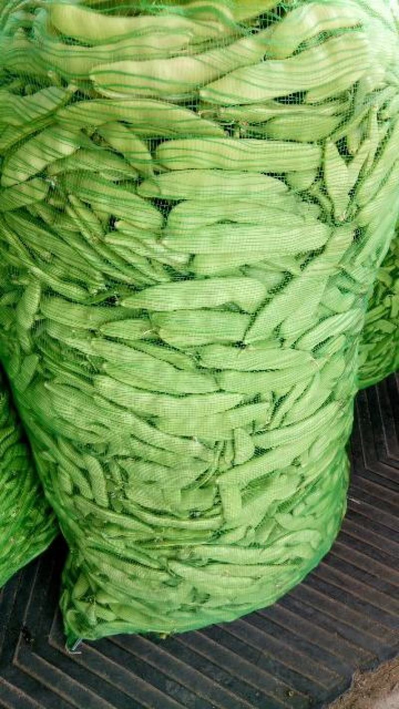 吉林油豆角大量上市，质量好价格美丽全国代发欢迎采购