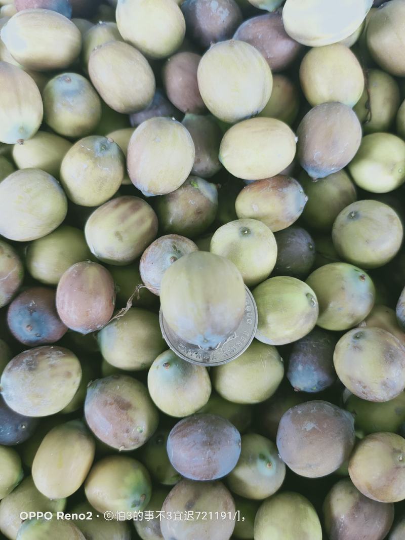 新鲜茶色花莲子大量供应