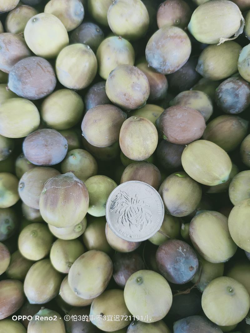 新鲜茶色花莲子大量供应