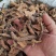 中药材，透骨香，又名满山香，香味浓欢迎来电咨询下单。