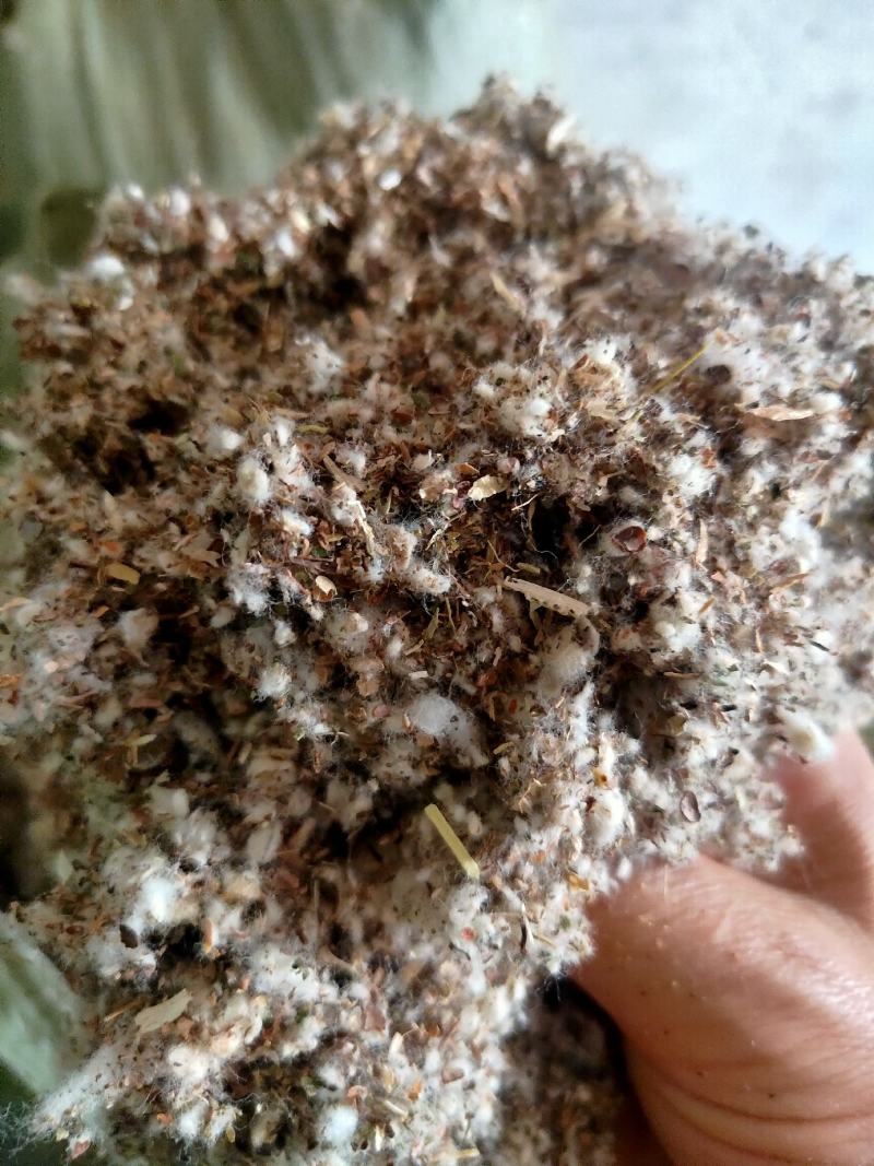 【厂家货源】优质棉渣籽大量现货食用菌专用提供配方