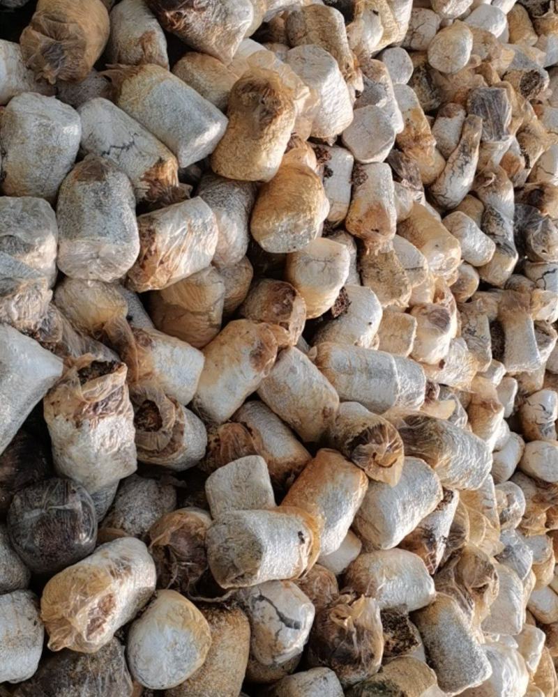 废料，菌包，价格合适