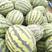 甜王西瓜，安徽甜王西瓜，十六斤以上，包熟，基地直供