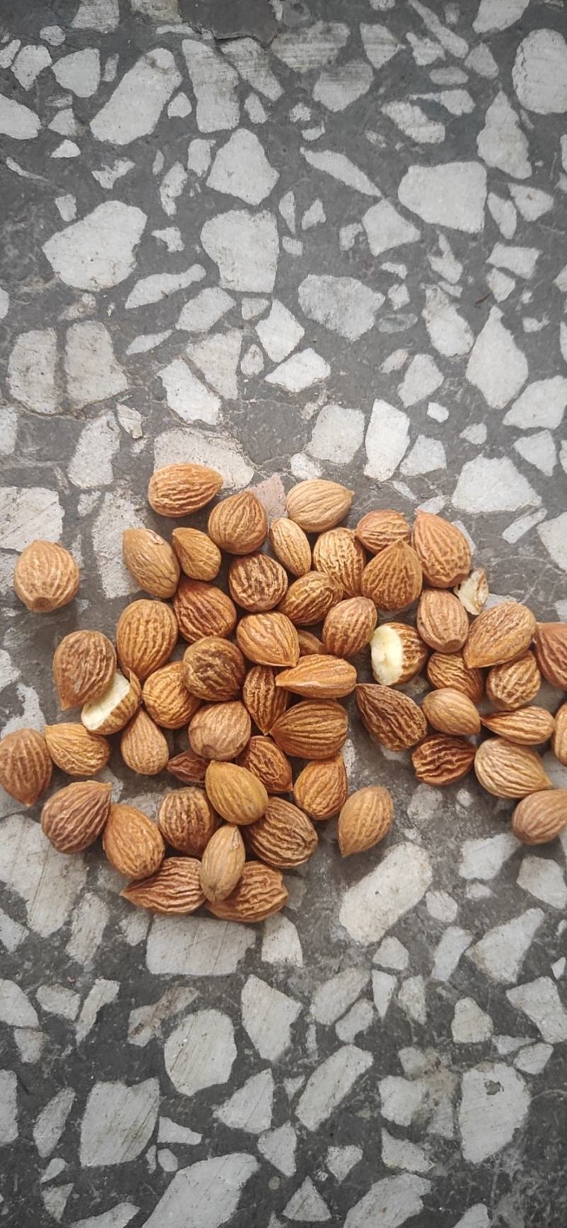 苦杏仁药食同源