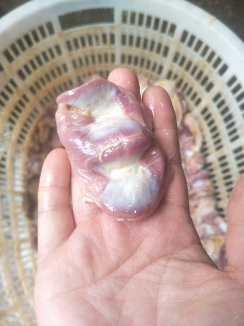 鸡胗