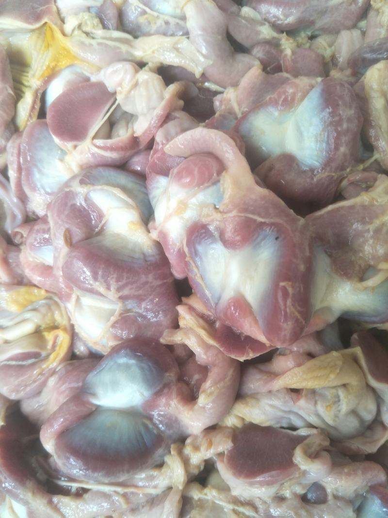 鸡胗