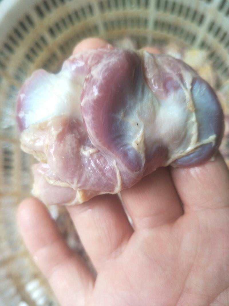 鸡胗