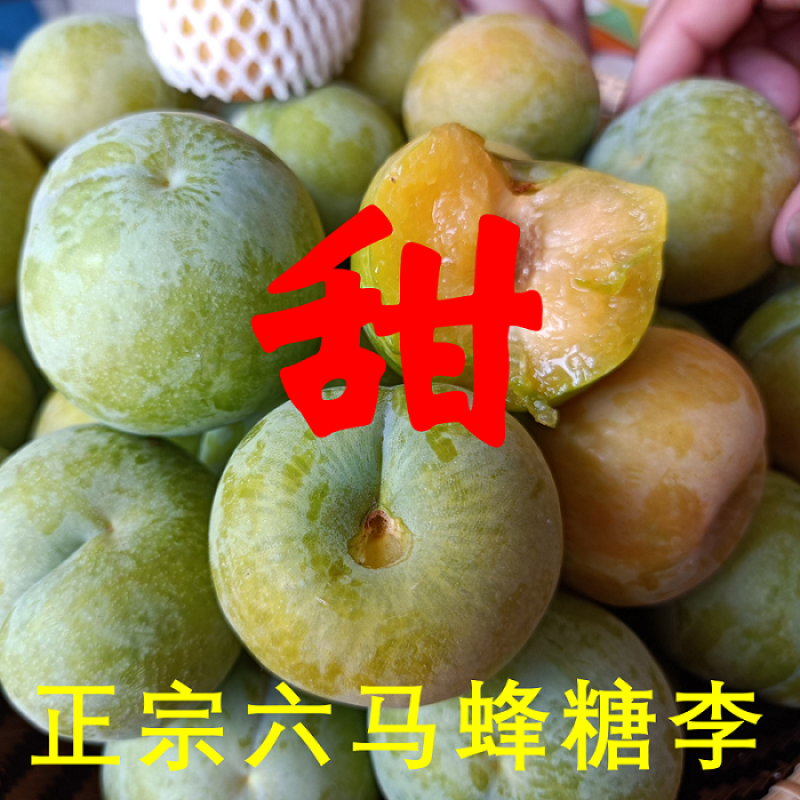【脆甜】现摘蜂糖李5斤装应季新鲜水果贵州六马蜂糖李