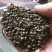 望江南望江南子羊角豆山绿豆实物拍摄