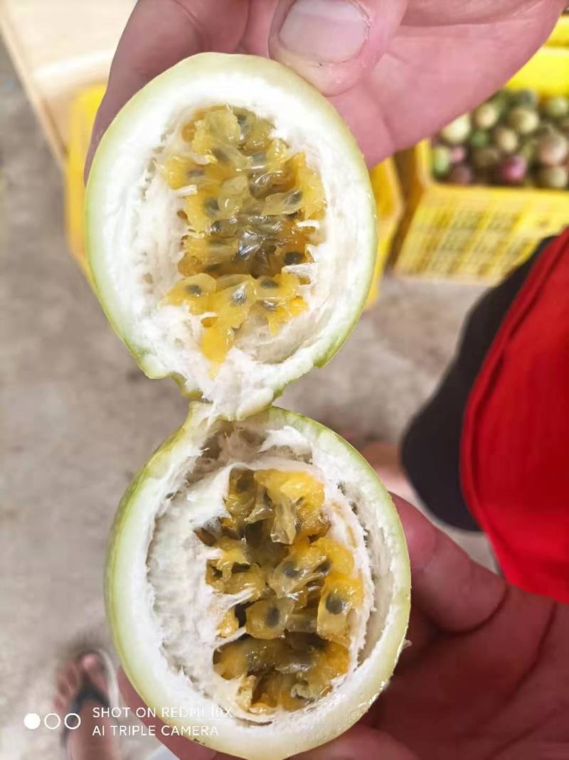 浦北县百香果