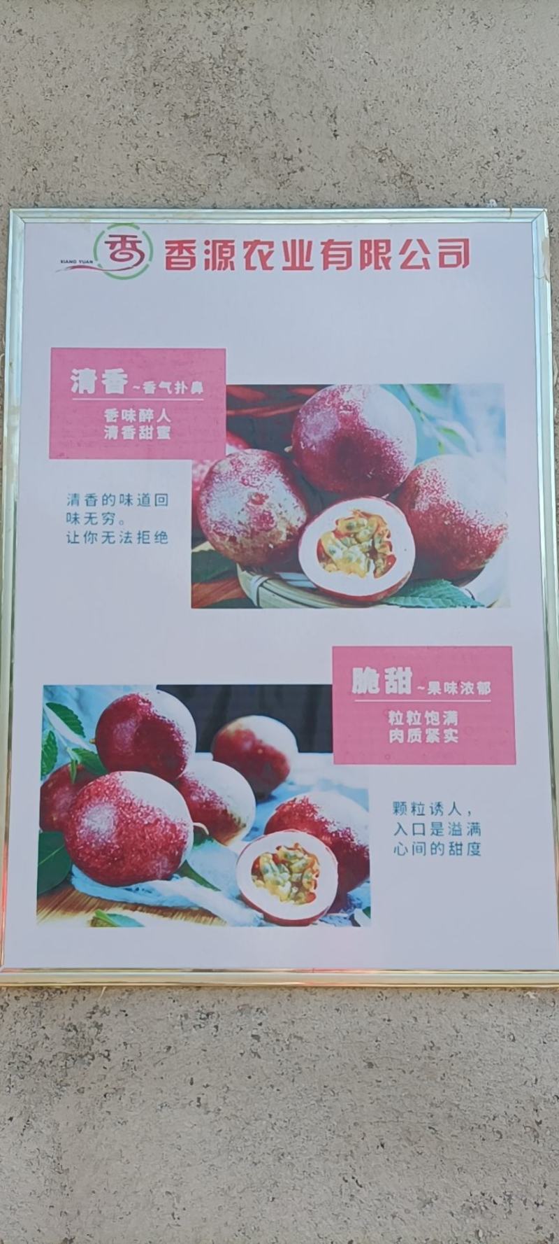 浦北县百香果