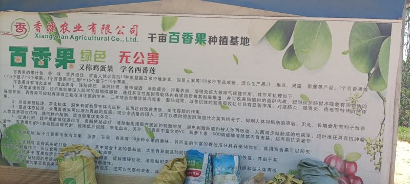 浦北县百香果