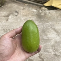 台湾香水柠檬