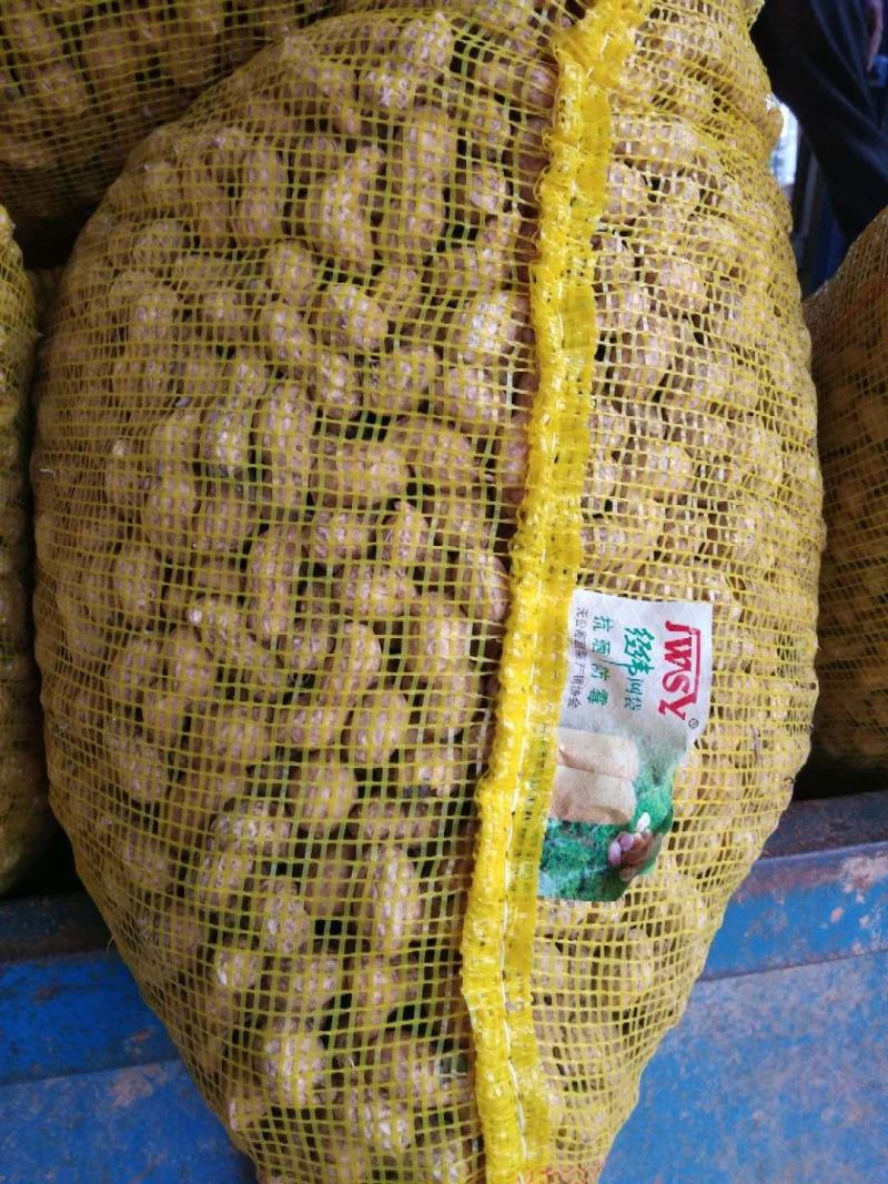 【鲜花生】精品白沙系列花生产地现挖可视频看货
