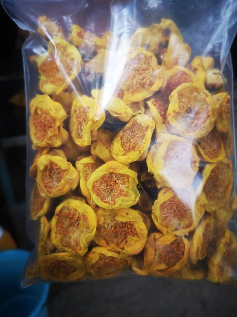 防城防普金花茶干花