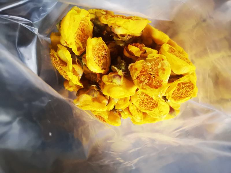 防城防普金花茶干花