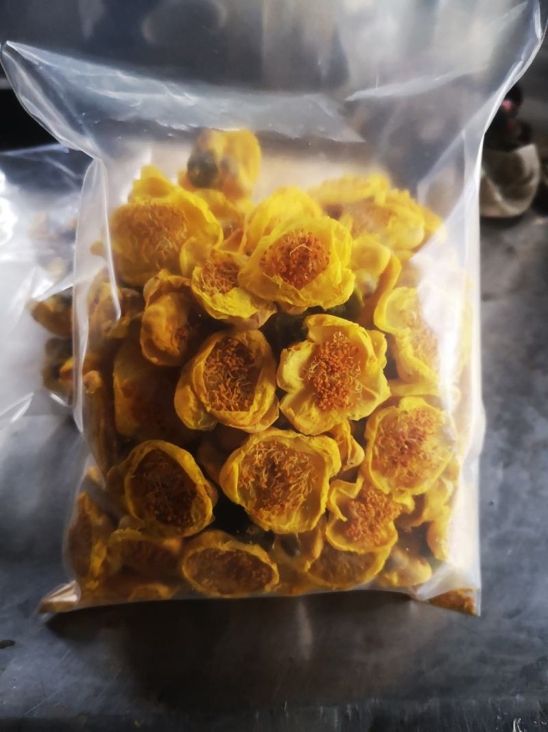 防城防普金花茶干花