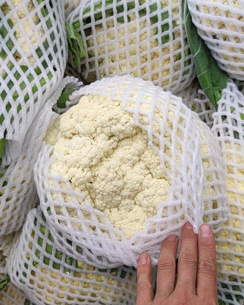 精品有机花菜