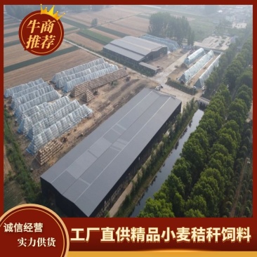长期供应二次加工粉碎柔丝除尘大小包小麦秸秆饲料大包