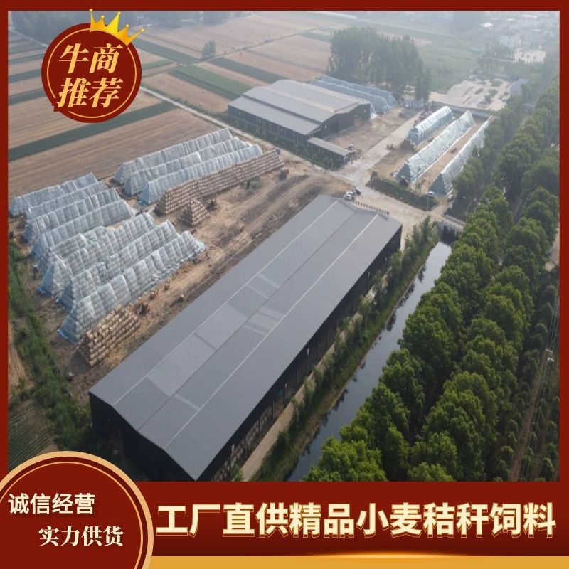 长期供应二次加工粉碎柔丝除尘大小包小麦秸秆饲料大包