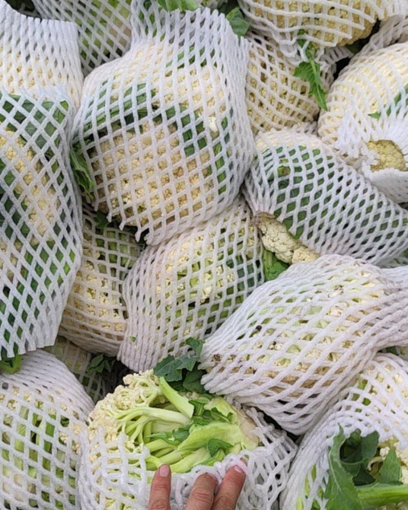 精品有机花菜