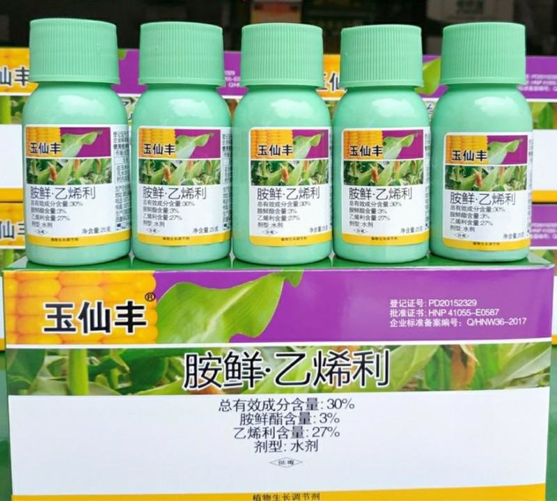 玉仙丰胺鲜酯乙烯利玉米苞谷控旺药矮壮素控旺长健壮素调节剂