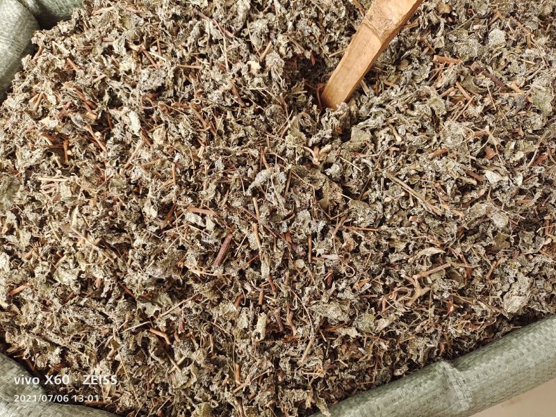 藤茶，溪黄茶，莓茶、端午茶、藤婆茶（又称山甜茶、龙须茶