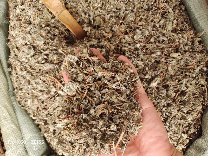 藤茶，溪黄茶，莓茶、端午茶、藤婆茶（又称山甜茶、龙须茶