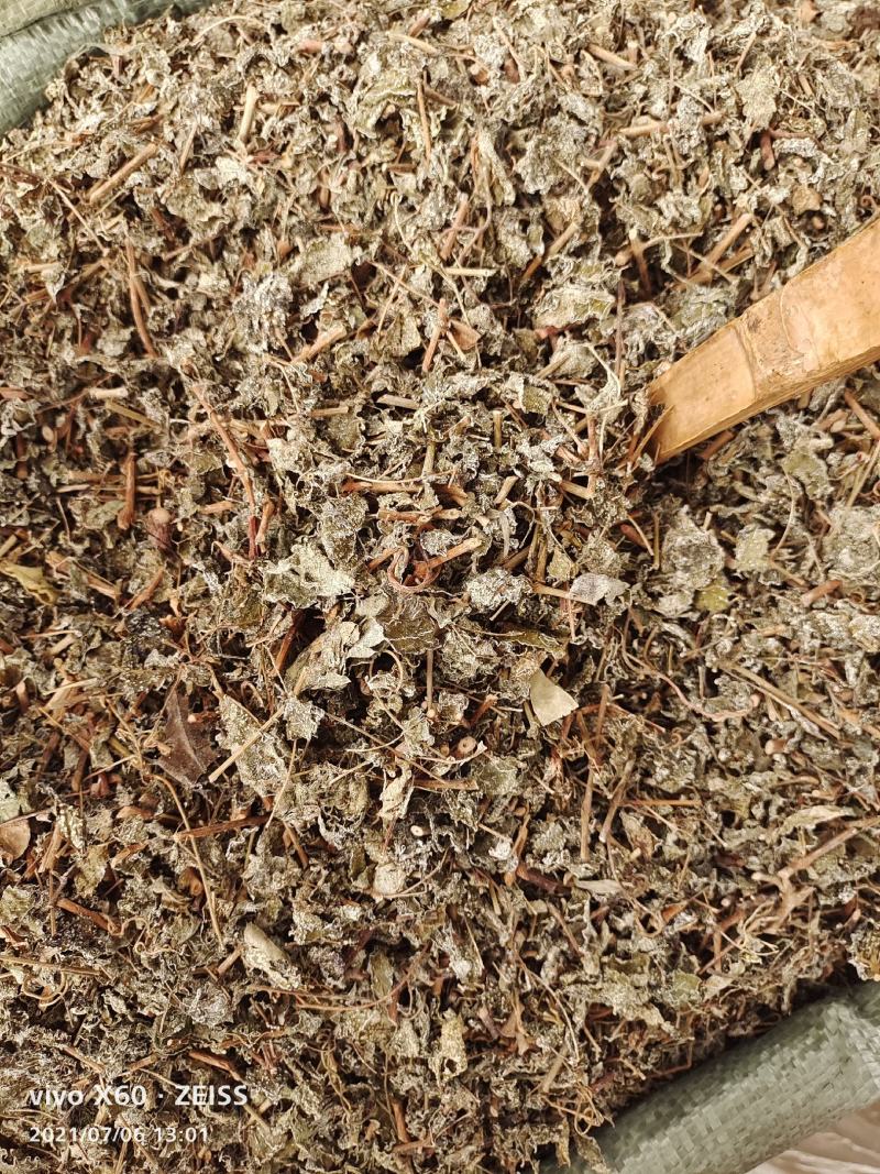 藤茶，溪黄茶，莓茶、端午茶、藤婆茶（又称山甜茶、龙须茶