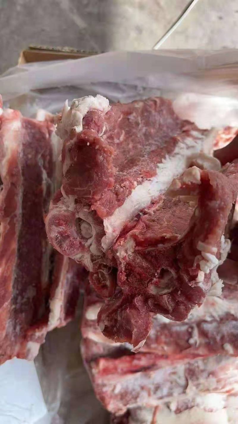 多肉羊蝎子。满肉羊蝎子，实拍图片，一手货源，全国冷链发货