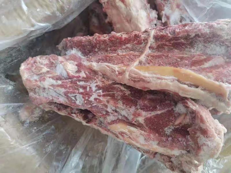 多肉羊蝎子。满肉羊蝎子，实拍图片，一手货源，全国冷链发货