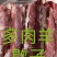 多肉羊蝎子。满肉羊蝎子，实拍图片，一手货源，全国冷链发货