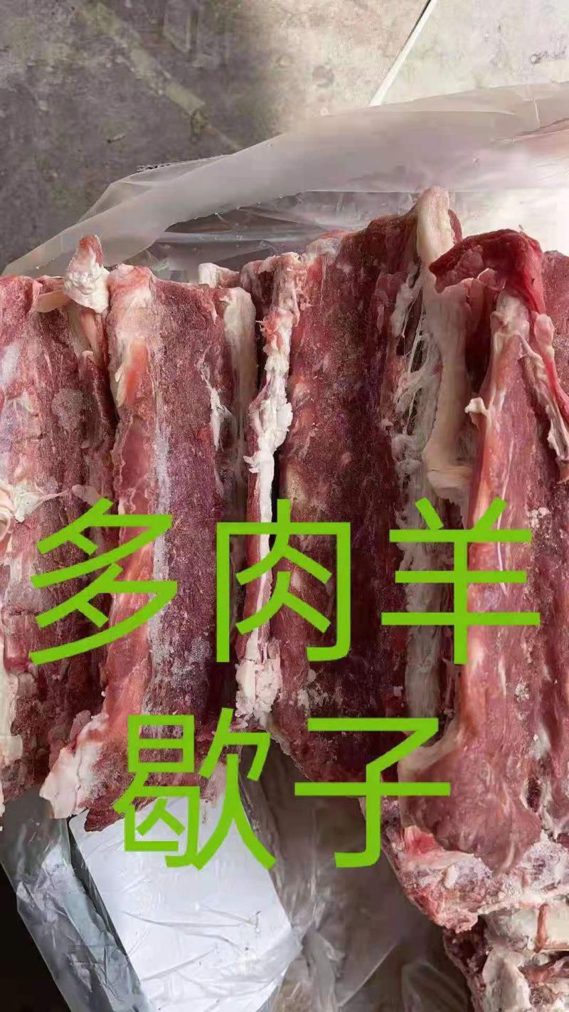多肉羊蝎子。满肉羊蝎子，实拍图片，一手货源，全国冷链发货