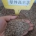 草坪种子，高羊茅，黑麦草，早熟禾，混播草，狗牙根，白三叶