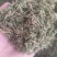 石上柏诚信经营干货中药材欢迎选购！量大从优