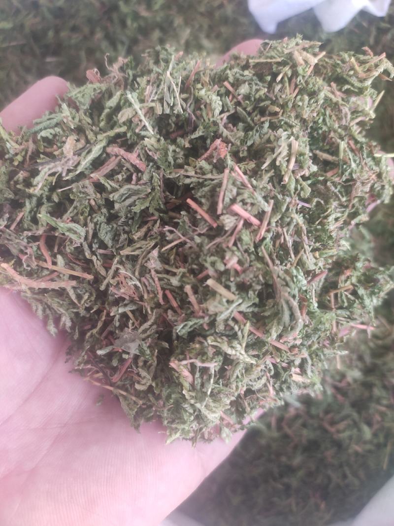 石上柏诚信经营干货中药材欢迎选购！量大从优