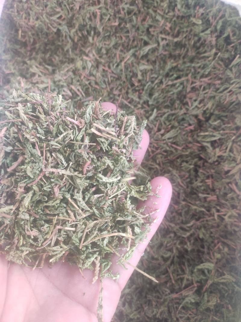 石上柏诚信经营干货中药材欢迎选购！量大从优