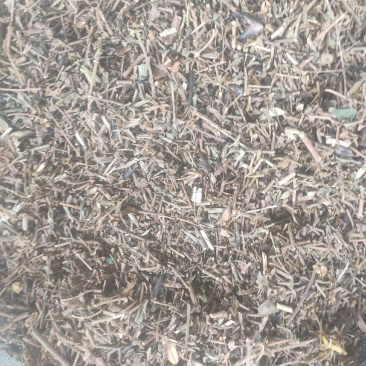 响铃草干货干净无杂质量大从优