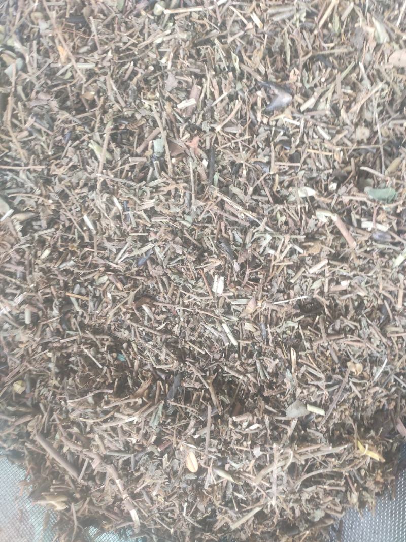 响铃草干货干净无杂质量大从优