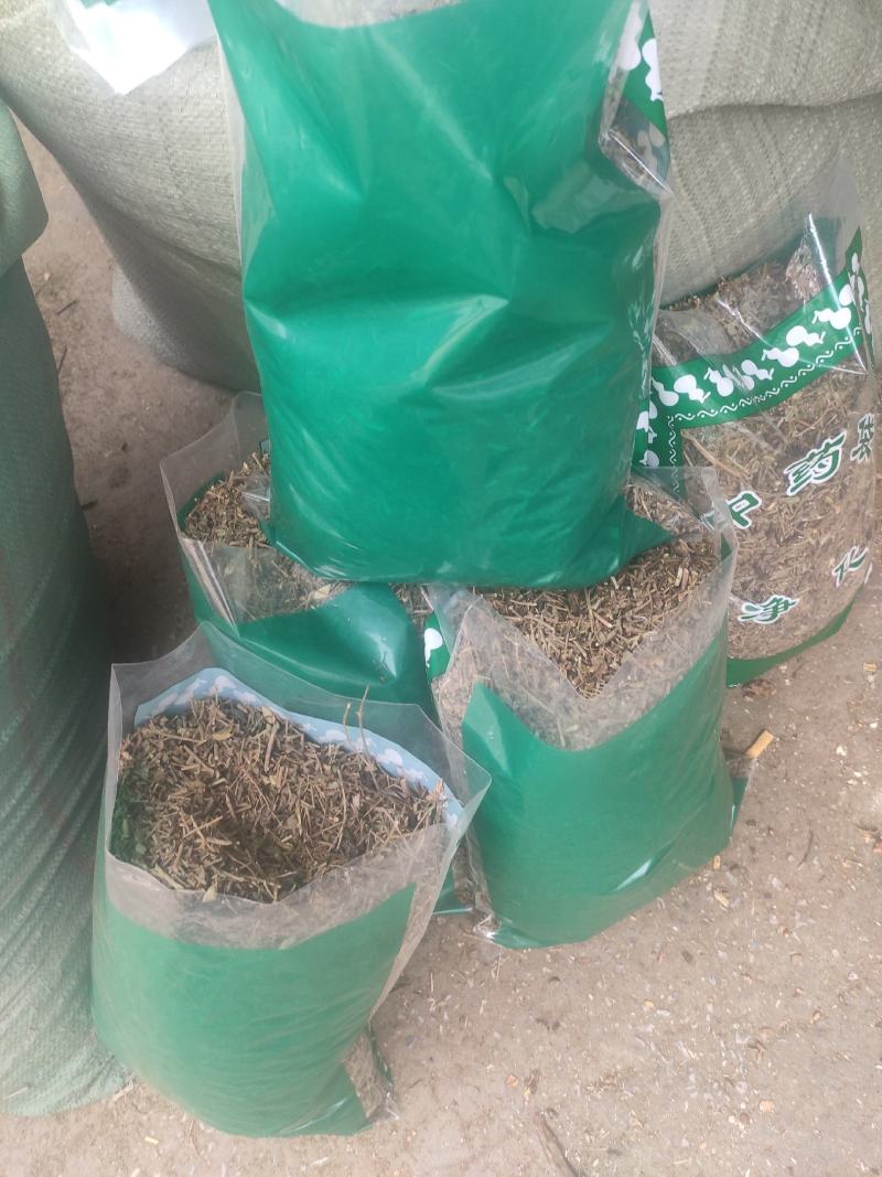 响铃草干货干净无杂质量大从优