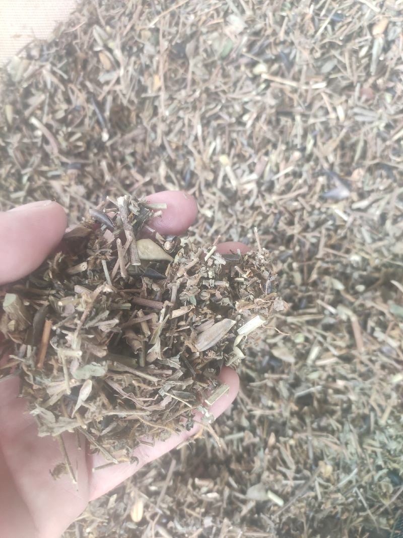响铃草干货干净无杂质量大从优
