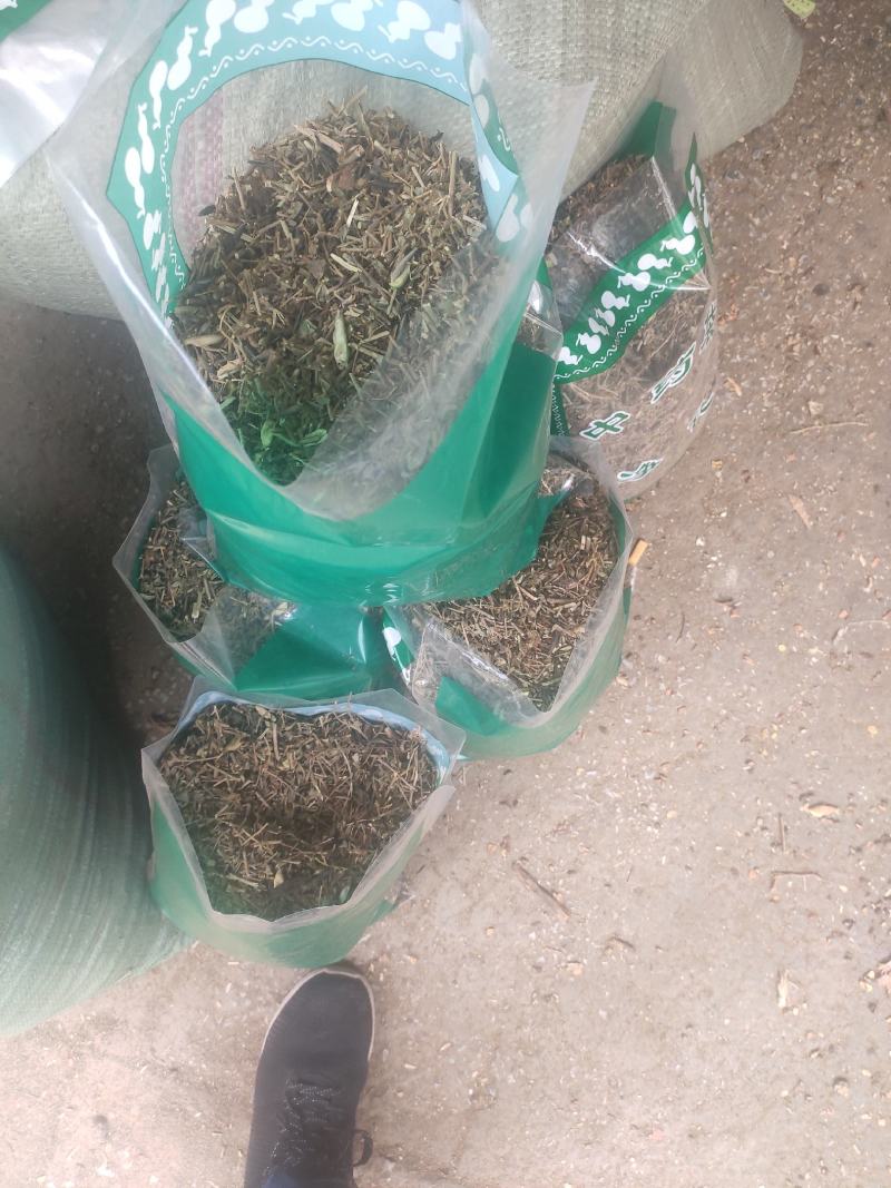 响铃草干货干净无杂质量大从优