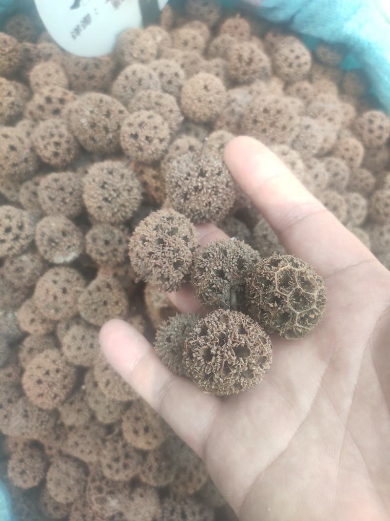 路路通干货路路通中药材量大从优欢迎选购
