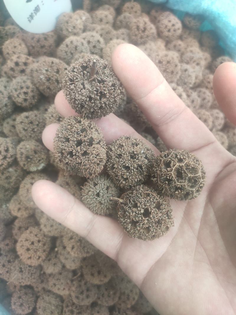 路路通干货路路通中药材量大从优欢迎选购