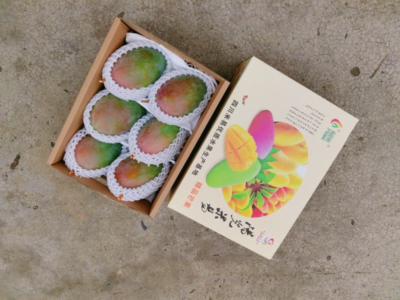 攀枝花凯特芒果10年芒果供应链全网一件代发