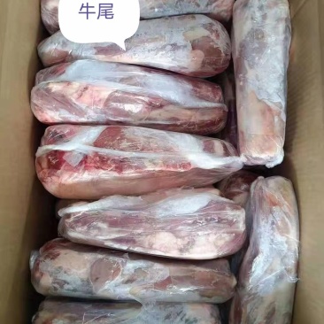 牛尾，乌拉圭2厂油少，去鞭根，一手货源，全国冷链发货