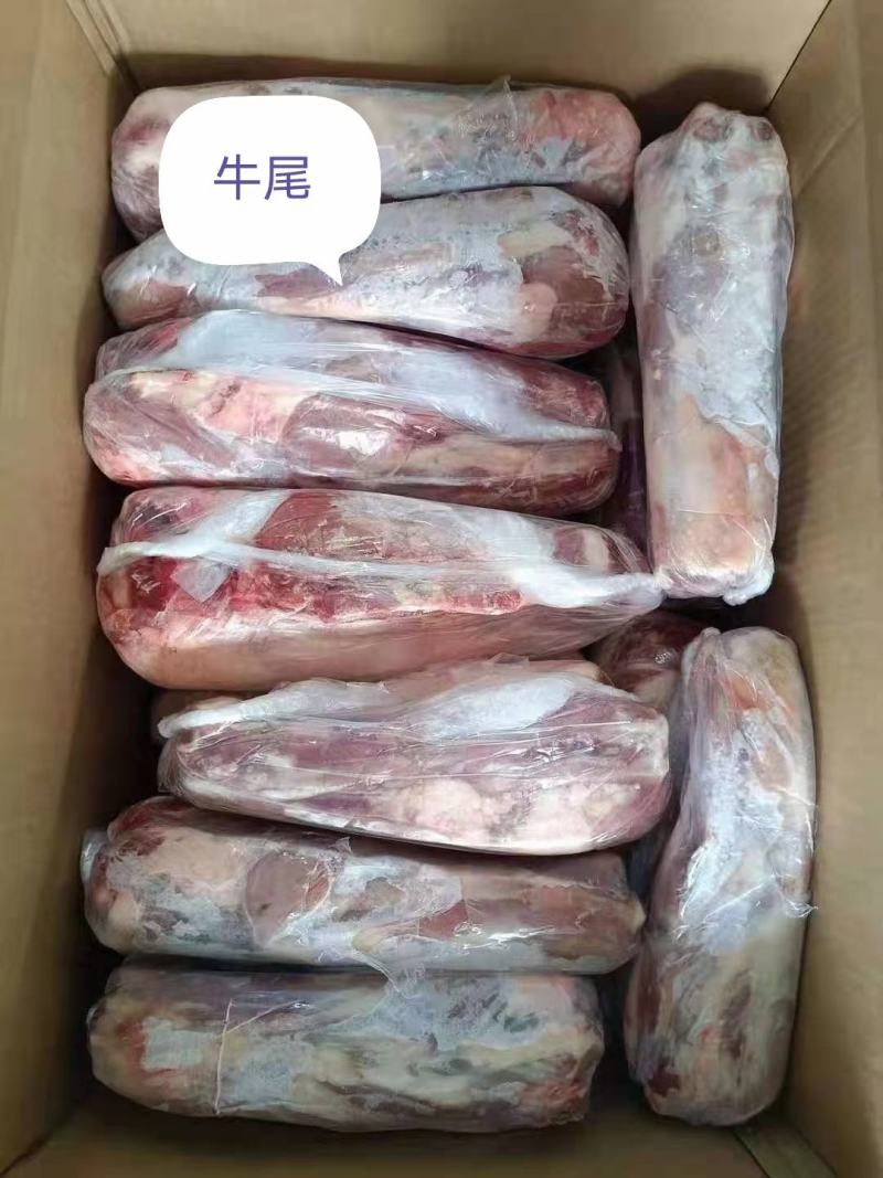 牛尾，乌拉圭2厂油少，去鞭根，一手货源，全国冷链发货