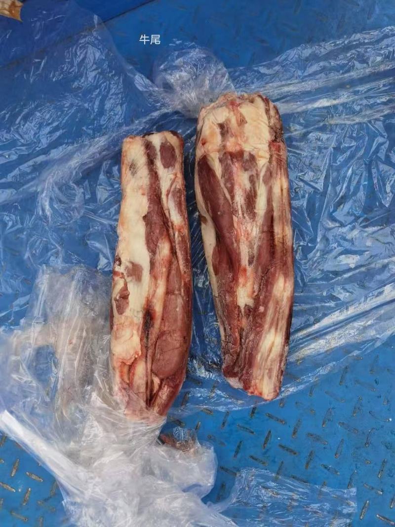 牛尾，乌拉圭2厂油少，去鞭根，一手货源，全国冷链发货